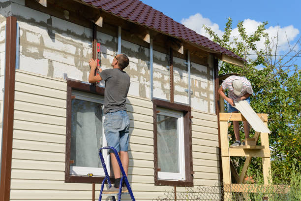 Best Historical Building Siding Restoration  in Ionia, MI