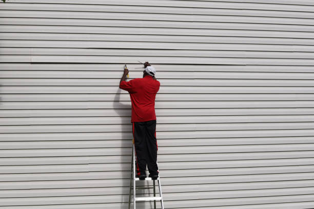 Best Residential Vinyl Siding Installation  in Ionia, MI