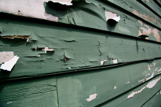 Best James Hardie Siding  in Ionia, MI