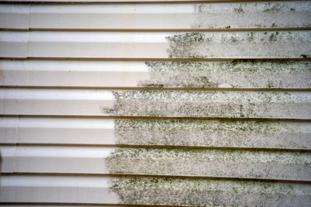Best Siding for New Construction  in Ionia, MI