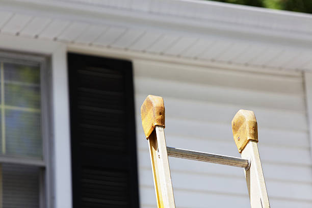 Best Fiber Cement Siding Installation  in Ionia, MI